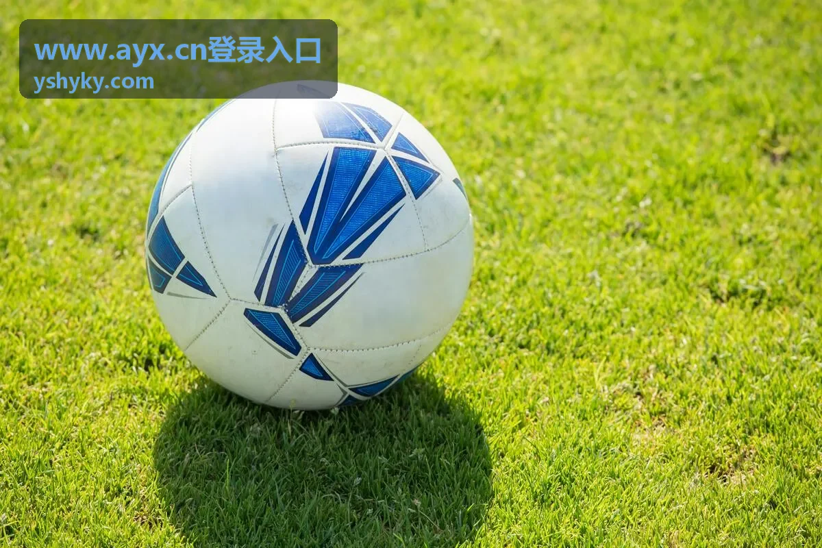 AYX登录入口安全设置与设备管理示意图